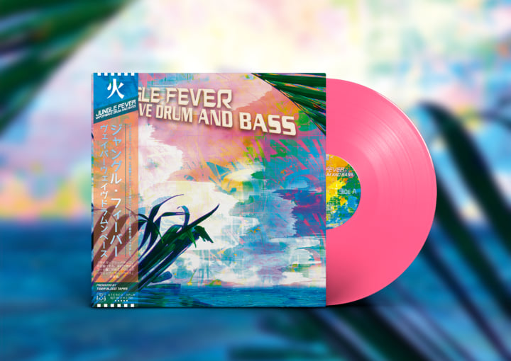 レコード drum'n bass,house,techno,jungle,4つ打ち 54枚