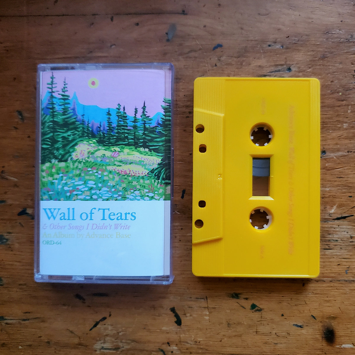 Wall of Tears & Other Songs I Didn't Write Advance Base
