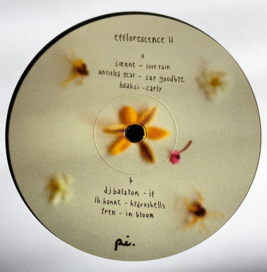 efflorescence ii | various artists | Project Indigo