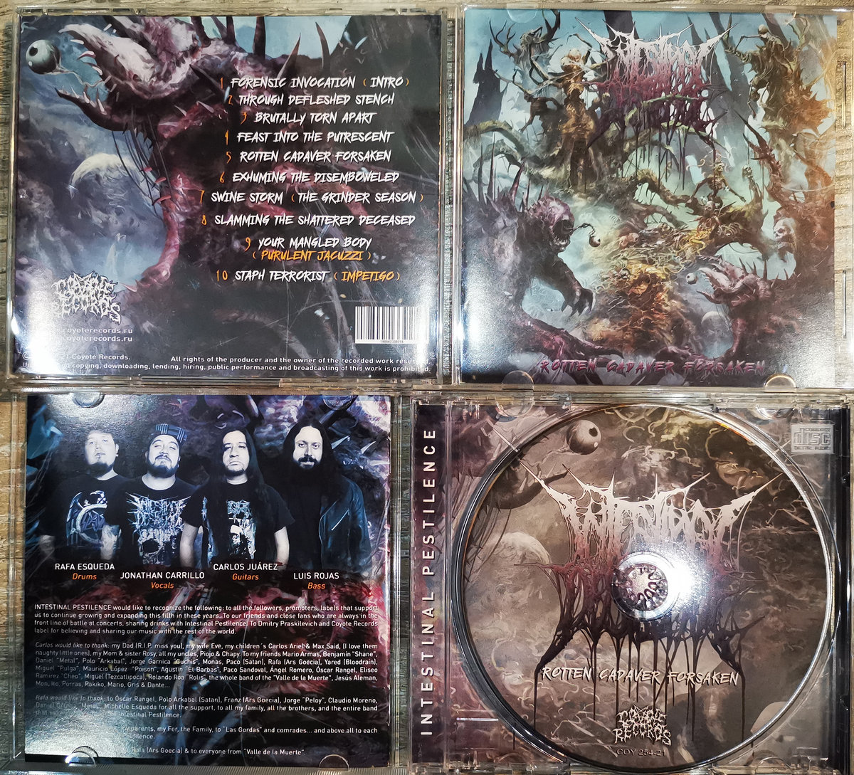 Rotten Cadaver Forsaken | INTESTINAL PESTILENCE | coyoterecords