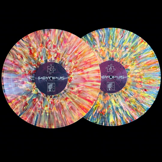 Our Puzzling Encounters Considered | Psyopus | Silent