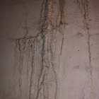 lude_ thumbnail