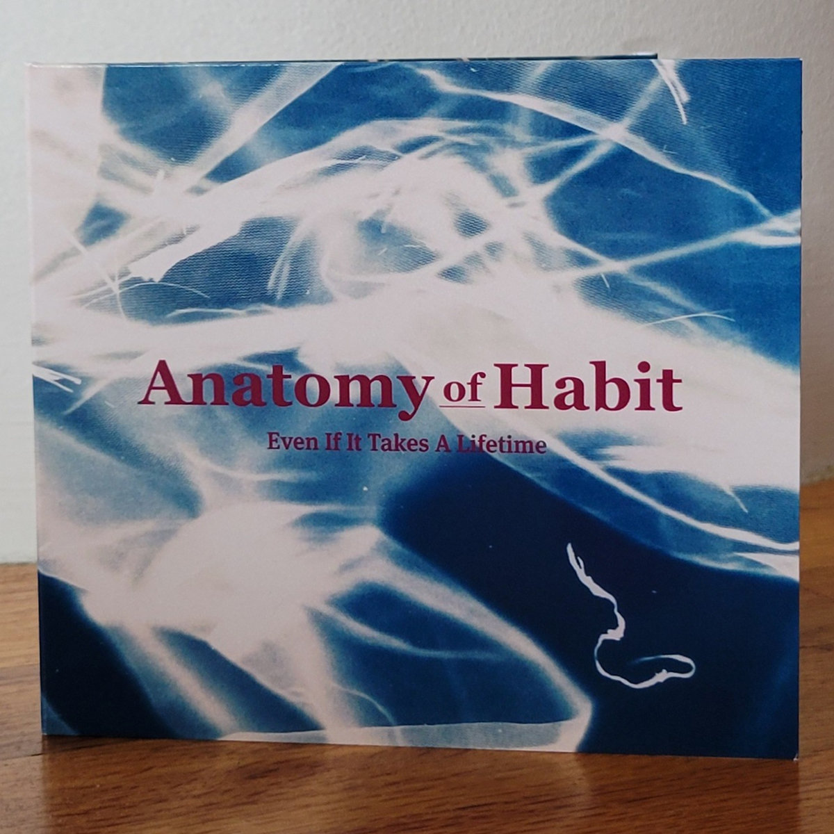 Even If It Takes A Lifetime Anatomy of Habit