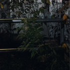 katsuyafukui thumbnail