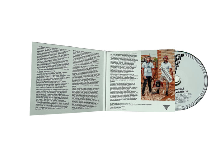 Teenage Dreams | Native Soul