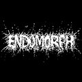 Endomorph image
