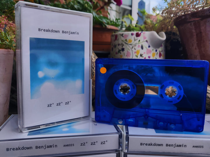 zZ' zZ' zZ' | Breakdown Benjamin | Anticipating Nowhere Records