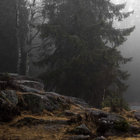 vinternacht thumbnail