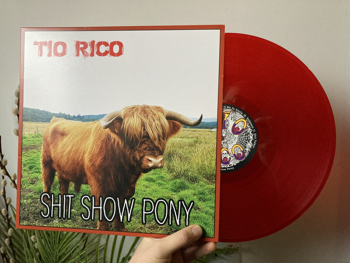 Shit Show Pony | Tío Rico, image size:1200x900
