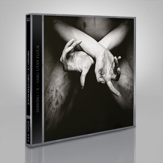 X - Varg Utan Flock | Shining