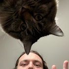 gramorgan thumbnail