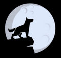 Moondog Myoozik image