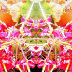 gratitudealways thumbnail