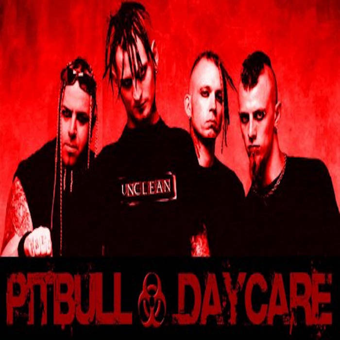 Pitbull Daycare photo