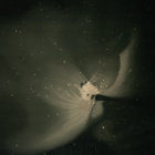 sml_grrtt thumbnail