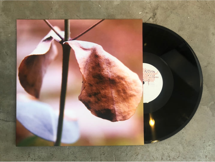 置大石 | Eiko Ishibashi, Jim O'Rourke, Riki Hidaka | STEREO RECORDS
