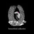The Bowerbird Collective image