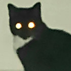 Goshujin1984 thumbnail