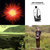 Tony Sweetman thumbnail