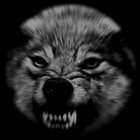 angryfauna thumbnail