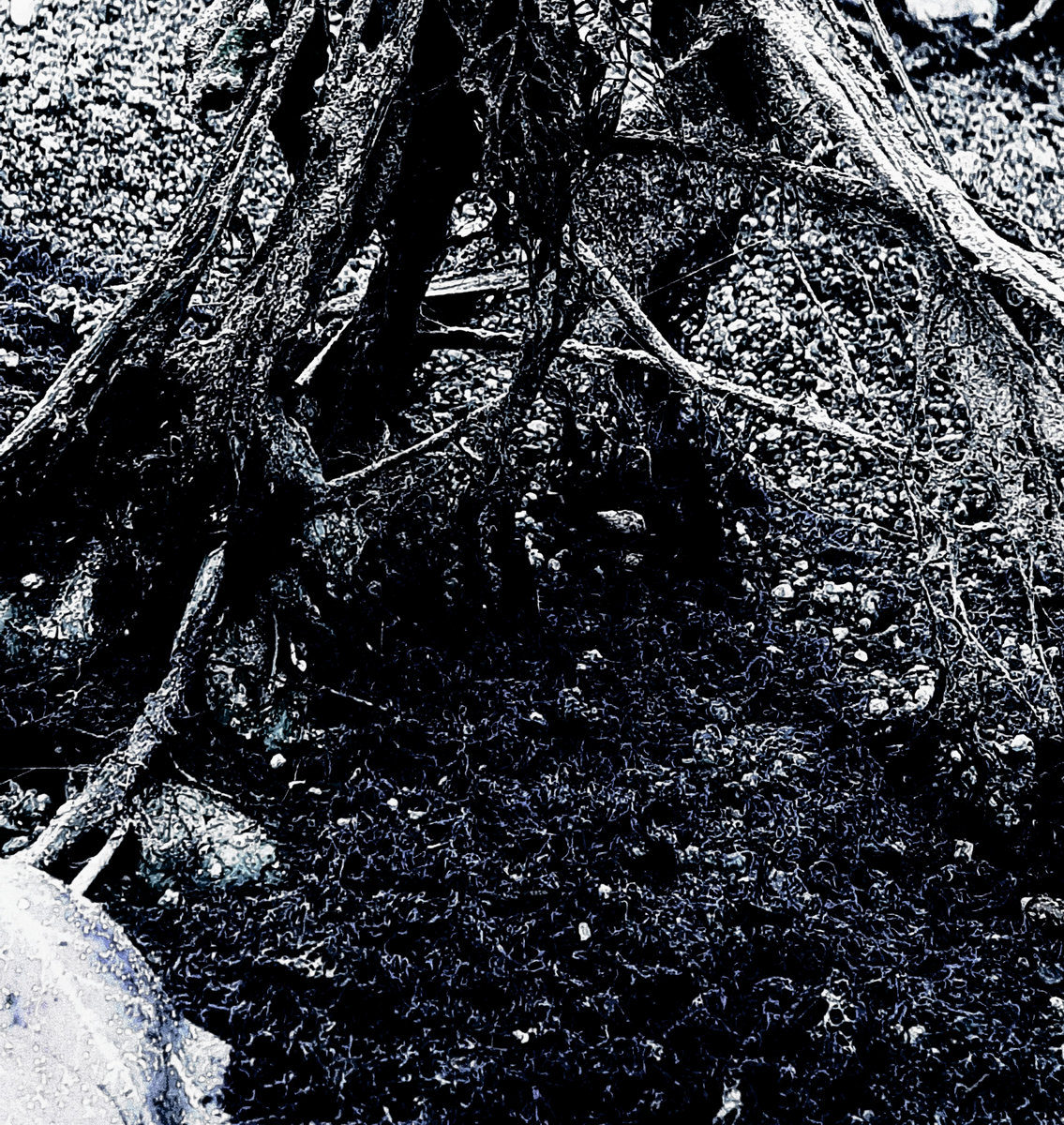 Shedding Sins Naturom Demonto