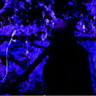 un_chucao thumbnail