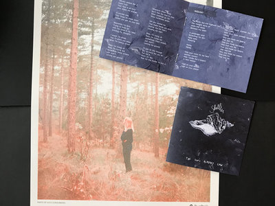 Limited Edition poster with lyrics and download code main photo