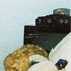 Rotting Tapes II | Rotting Telepathies