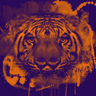 ZiAD thumbnail