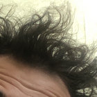 hofmann.ny thumbnail
