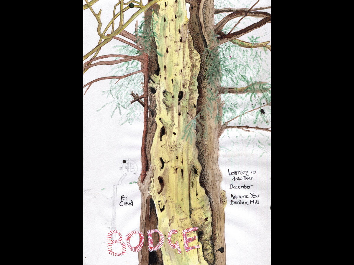 Bodge Issue 12 Liverpool Arts Lab