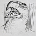 horus thumbnail