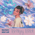 Now That's What I Call Britney, Bitch image