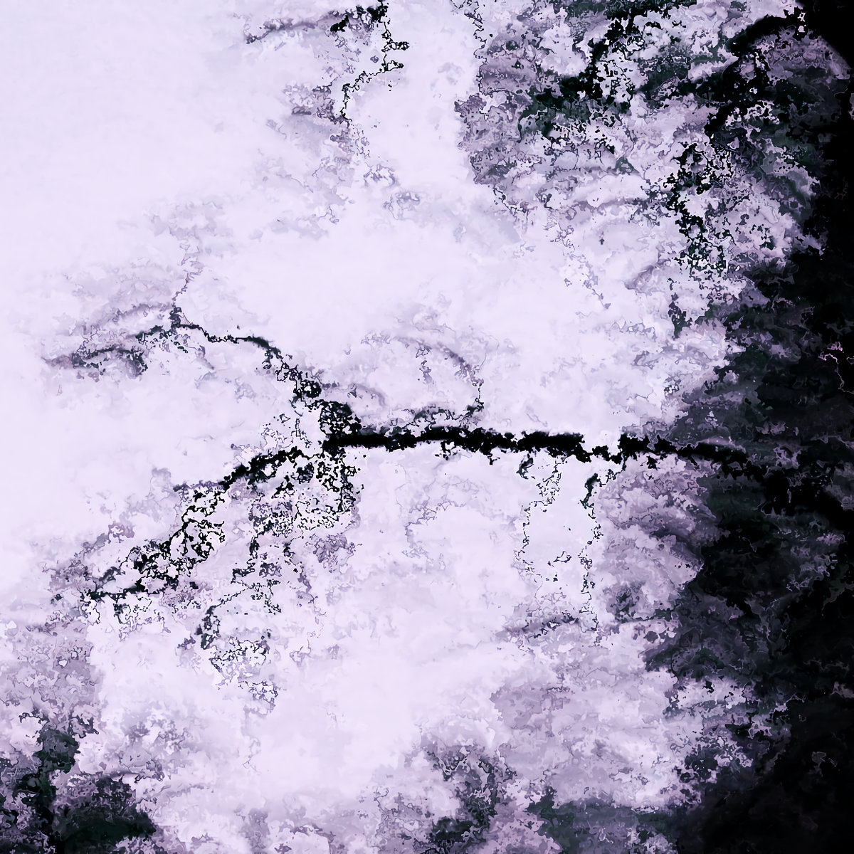 Fleeting Frozen Heart (Xxtarlit⚸ forest runaways edit) forest runaways