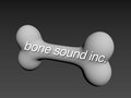 Bone Sound Inc image