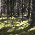 feymeadow thumbnail