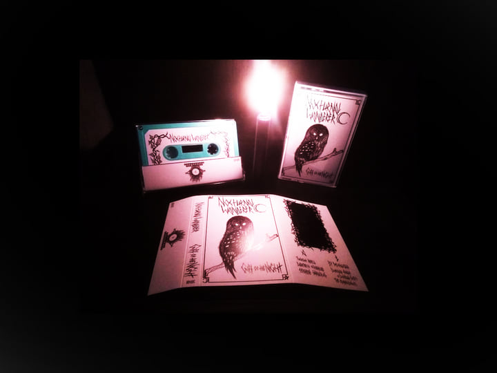 Gift of the Night | Nocturnal Wanderer