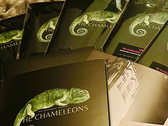 Chameleons 40th anniversary brochure photo 