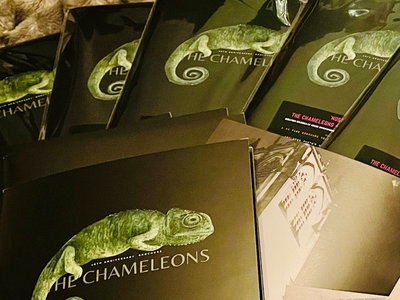 40th anniversary Chameleons brochure - to be posted with Camden Palace LP... main photo