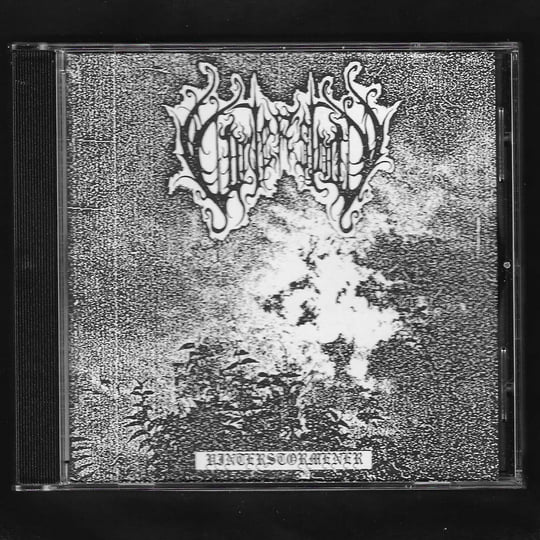 Vinterstormener | Winterstorm