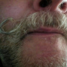 Mr Bear  thumbnail