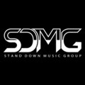 Stand Down Music Group image