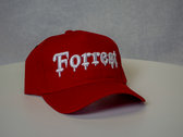 Forrest Hat photo 