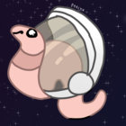 salmonweather thumbnail