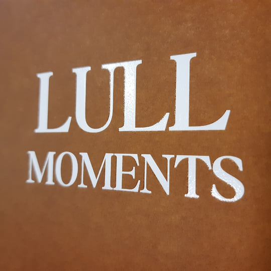 Moments (CSR295LP) | Lull | Cold Spring