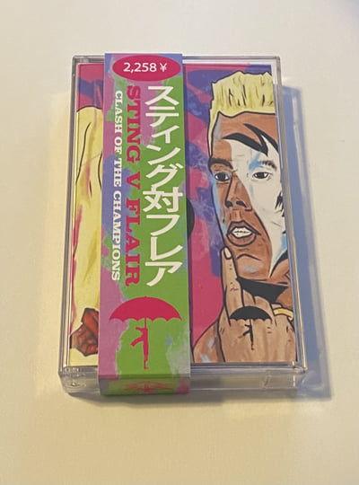 Sting V Flair | Pro Dillinger & Mickey Diamond | I had An Accident