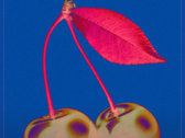 Cherry - Poster (12x18, 18x24, 24x36 in) photo 