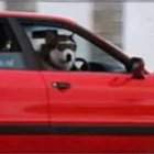 ppl thumbnail