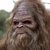 sergsasquatch thumbnail
