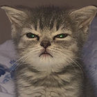 nullable thumbnail